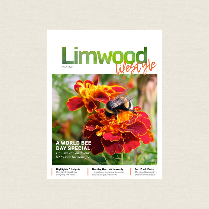 Hot Off the Press! Limwood Lifestyle Issue 2