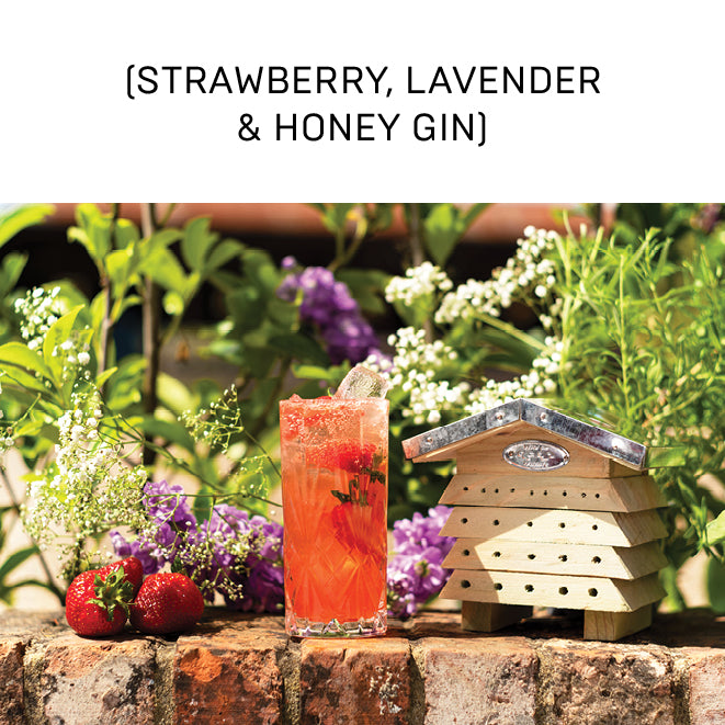 Strawberry Lavender Collins